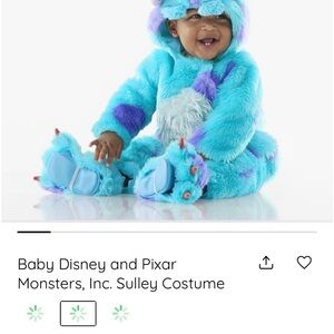 Pottery Barn Kids Fuzzy Blue and Purple Costume